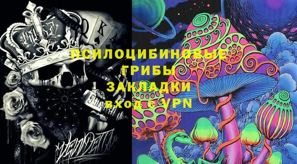 дмт Алзамай