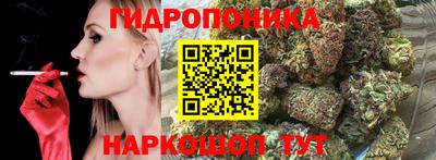 альфа пвп Славгород