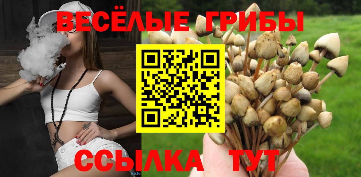 Псилоцибиновые грибы ЛСД  Вход с VPN  Соликамск  Галлюциногенные грибы мухоморы 